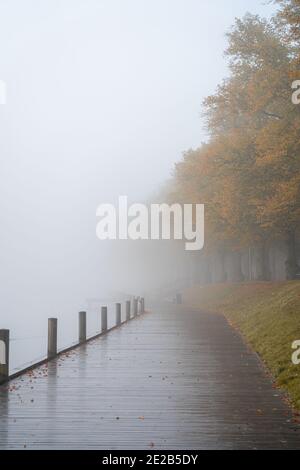 Matin brumeux sur le lac avec jetée en bois et marche personne Banque D'Images