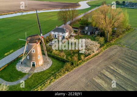 Vue aérienne sur la ferme hollandaise et le moulin à vent de Korenbloem à Zoelen au printemps, Gelderland, pays-Bas Banque D'Images