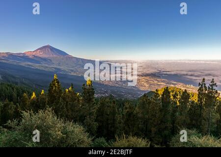 Mont Teide / El Teide / Pico del Teide, volcan / stratovolcan dans le Parc National du Teide sur Tenerife dans les îles Canaries, Espagne Banque D'Images