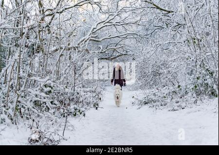Woman walking dog in snow Banque D'Images