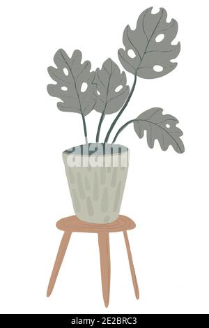 Plante Monstera en pot. Illustration dessinée à la main sur fond blanc. Banque D'Images