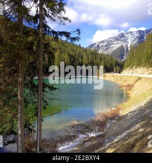 Lac d'olive dans les montagnes Rocheuses. Parc national Kootenay. Forêt verte et beau lac vert, Banque D'Images