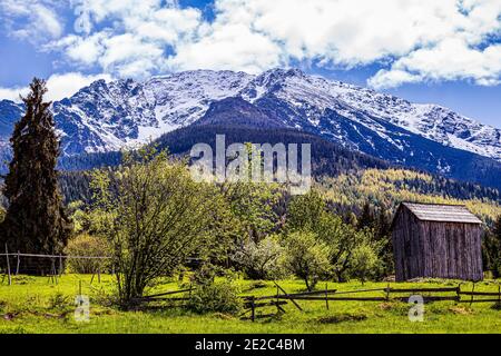 Paysage alpin dans les montagnes Rodnei. Photo prise près de Borsa, région de Transylvanie, Roumanie le 1er juin 2020. Banque D'Images
