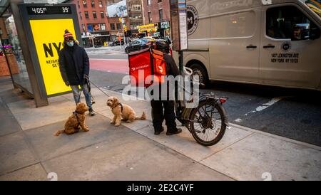 Un liveur avec un fourre-tout de marque Doordash sur son vélo dans le quartier de Chelsea, à New York, le dimanche 10 janvier 2021. (© Richard B. Levine) Banque D'Images