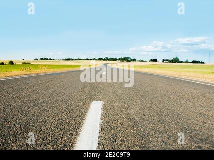 Route asphaltée à l'horizon.champs verts d'été. Ciel bleu sans nuages Banque D'Images