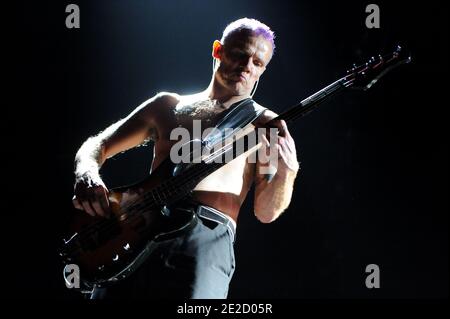 Le bassiste Flea, dont le vrai nom est Michael Peter Balzary, des Red Hot Chili Peppers se produit au concert Paris-Bercy à Paris, France, le 18 octobre 2011. Photo par ABACAPRESS.COM Banque D'Images