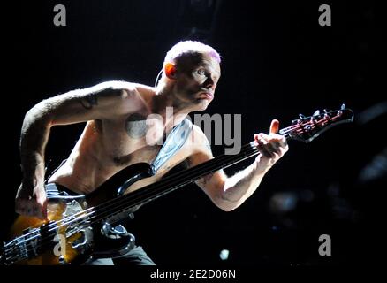 Le bassiste Flea, dont le vrai nom est Michael Peter Balzary, des Red Hot Chili Peppers se produit au concert Paris-Bercy à Paris, France, le 18 octobre 2011. Photo par ABACAPRESS.COM Banque D'Images