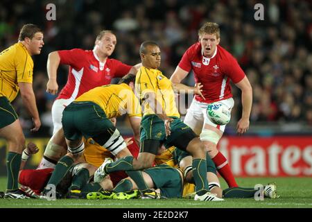 L'Australie bat le pays de Galles de 21 à 18 lors du match de médaille de bronze de la coupe du monde de rugby 2011 à l'Eden Park à Auckland, Nouvelle-Zélande, le 21 octobre 2011. Photo de Lionel Hahn/ABACAPRESS.COM Banque D'Images