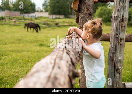 Enfants, filles se tenant à côté d'une clôture dans le village. Promenades à la campagne. Agriculture. Écologie et enfance heureuse, belle petite fille. Banque D'Images