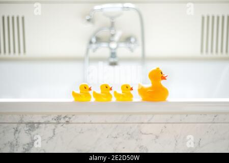 Photo sélective de canards de bain en caoutchouc jaune mignons une rangée dans une salle de bains Banque D'Images