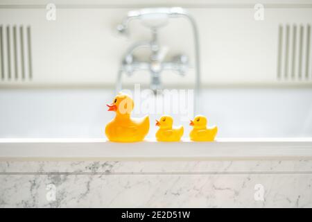 Photo sélective de canards de bain en caoutchouc jaune mignons une rangée dans une salle de bains Banque D'Images