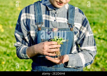 Fille fermier en combinaison de denim tient un sprout avec le sol. Planter des légumes. Concept de préservation de l'environnement Banque D'Images