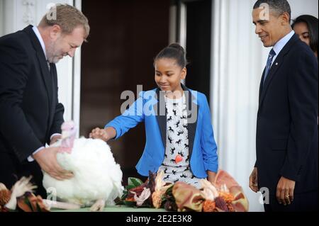 LE président AMÉRICAIN Barack Obama pardon de la « liberté » à la Turquie de l'action de grâce nationale lors d'une cérémonie dans le Portique nord de la Maison Blanche à Washington, D.C., aux États-Unis, le 23 novembre 2011. Le Président est accompagné de ses filles Sasha et Malia et Richard Huisinga Willmar Poultry Company. Photo par Olivier Douliery/ABACAPRESS.COM Banque D'Images
