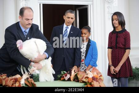 LE président AMÉRICAIN Barack Obama pardon de la « liberté » à la Turquie de l'action de grâce nationale lors d'une cérémonie dans le Portique nord de la Maison Blanche à Washington, D.C., aux États-Unis, le 23 novembre 2011. Le Président est accompagné de ses filles Sasha et Malia et Richard Huisinga Willmar Poultry Company. Photo par Olivier Douliery/ABACAPRESS.COM Banque D'Images