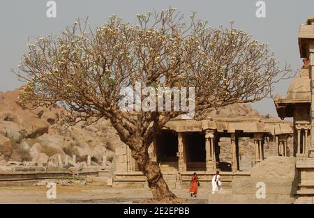 Temple de Vithala, Hampi, Inde, mars 2008.Hampi est un village dans l'État de Karnataka en Inde. Il est situé à l'intérieur des murs de la ville en ruines de Vijayanagara, 500 monuments dispersés autour d'un immense chaos de granit. Temple Vithala, Hampi, Inde, mars 2008. Hampi est un village de l'Etat du Karnataka en Inde. Il est situé à l'intérieur de l'enceinte de la ville en ruine de Vijayanagara, 500 monuments disséminés dans un immense chaos grandiose. Photo de David Lefranc/ABACAPRESS.COM Banque D'Images