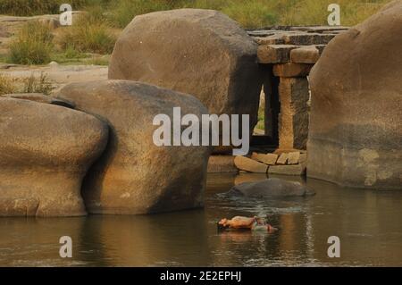 Rivière Tungabhadra, Swim, Hampi, Inde, mars 2008. Hampi est un village dans l'État de Karnataka en Inde. Il est situé à l'intérieur des murs de la ville en ruines de Vijayanagara, 500 monuments dispersés autour d'un immense chaos de granit. Riviere Tungabhadra, Baignade, Hampi, Inde, mars 2008. Hampi est un village de l'Etat du Karnataka en Inde. Il est situé à l'intérieur de l'enceinte de la ville en ruine de Vijayanagara, 500 monuments disséminés dans un immense chaos grandiose. Photo de David Lefranc/ABACAPRESS.COM Banque D'Images