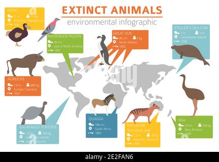 Problèmes environnementaux mondiaux. Infographie sur la perte de biodiversité. Animaux et oiseaux éteints. Illustration vectorielle Illustration de Vecteur