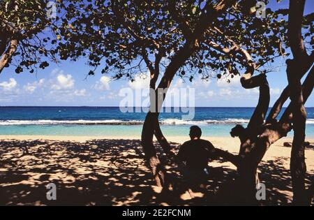 Photographe: Joan Iaconetti Banque D'Images