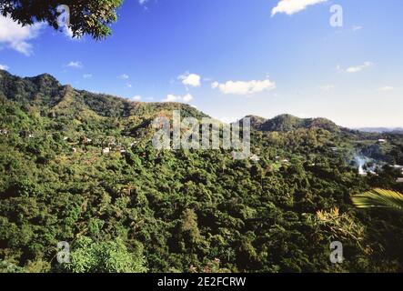 Photographe: Joan Iaconetti Banque D'Images