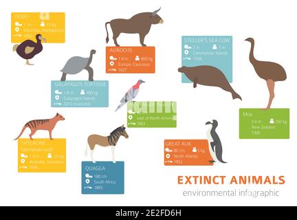 Problèmes environnementaux mondiaux. Infographie sur la perte de biodiversité. Animaux et oiseaux éteints. Illustration vectorielle Illustration de Vecteur