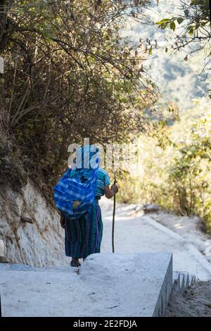 Femme indigène avec une robe guatémaltèque typique descendant la montagne au milieu des arbres et de la nature - vieille femme marche avec canne - travail natif Banque D'Images