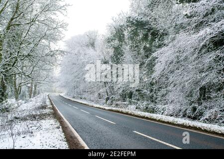 Route bordée d'arbres enneigée en décembre. Près de Chipping Campden, Cotswolds, Gloucestershire, Angleterre Banque D'Images