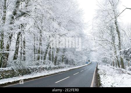 Route bordée d'arbres enneigée en décembre. Près de Chipping Campden, Cotswolds, Gloucestershire, Angleterre Banque D'Images