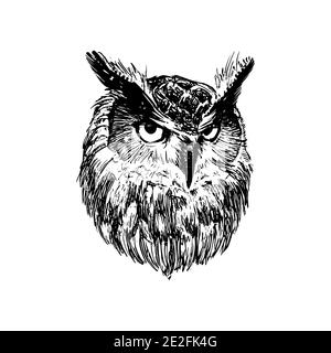 Tête hibou. Dessin à l'encre graphique pour l'impression, style vintage. Symbole de la connaissance Illustration de Vecteur