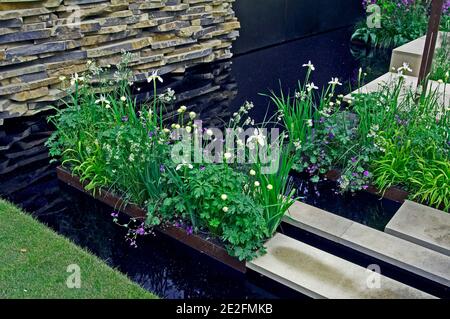 Plantation de fleurs calme et patent avec de l'eau dans un jardin urbain moderne Banque D'Images