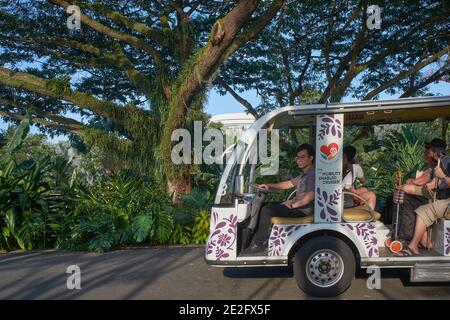 Un bus-navette avec les touristes qui font le PLing Gardens by the Bay, Marina Bay, Singapour Banque D'Images