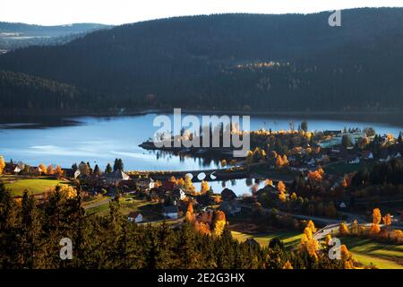 Schluchsee dans la lumière du soir, automne, Schluchsee, Forêt Noire, Bade-Wurtemberg, Allemagne Banque D'Images