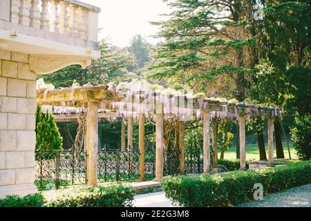 Un bâtiment architectural avec un grand balcon d'époque et une arche avec une wisteria sinueuse dans la cour contre le fond de grands arbres. Banque D'Images