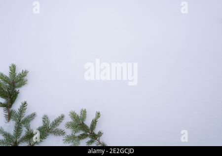 Branches d'épinette verte sur la neige blanche arrière-plan hiver bordure de coin.Arrière-plan de Noël avec branches de sapin par temps froid. Banque D'Images