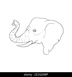 dessin à la main de l'illustration de l'éléphant d'asie fait en noir et isolé sur fond blanc Illustration de Vecteur