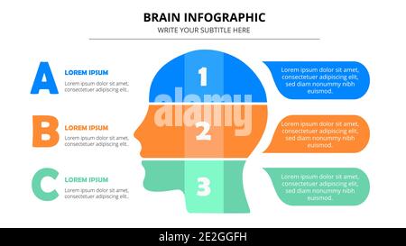 Modèle d'infographie coloré sur le cerveau Illustration de Vecteur