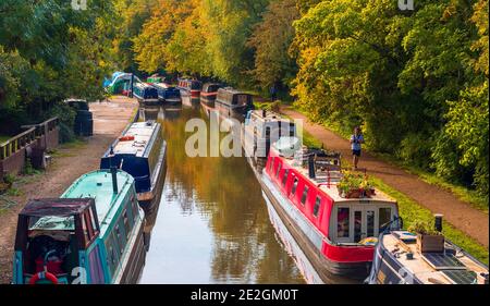 Des bateaux étroits colorés amarrés le long du canal d'Oxford en automne. Banque D'Images