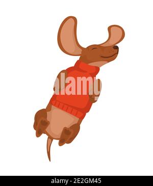 Un chien heureux repose sur son dos dans un chandail. Personnages mignons pour une décoration de fête. Caractère isolé Illustration de Vecteur