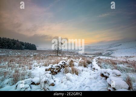 Paysages magnifiques autour de Calvaire, West Yorkshire. Banque D'Images