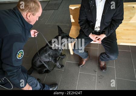 13 mars 2020, Baden-Wuerttemberg, Ravensburg: Pendant l'entraînement, le chien de ravin vieux de trois ans Coco a frappé à un visiteur dans la chambre des visiteurs à la prison de Ravensburg après que l'entraîneur de chien de service et le maître roman Schnetz l'ont conduit à la personne. Comme un signe que le chien a trouvé quelque chose, le berger allemand s'assoit et pointe dans la direction de l'objet trouvé. Photo: Felix Kästle/dpa Banque D'Images