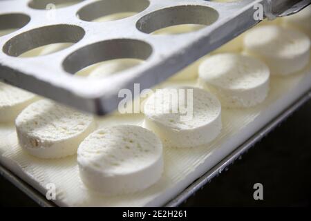 Salvagnac Cajarc (sud de la France) : Rocamadour fabrication de fromage AOC (fromage PDO), fromage de chèvre non pasteurisé fabriqué dans une ferme laitière Banque D'Images