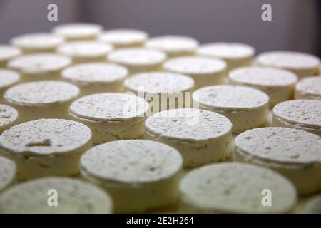 Salvagnac Cajarc (sud de la France) : Rocamadour fabrication de fromage AOC (fromage PDO), fromage de chèvre non pasteurisé fabriqué dans une ferme laitière Banque D'Images