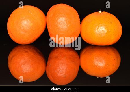 Quelques mandarines mûres, juteuses, orange, entières, sur fond noir. Banque D'Images