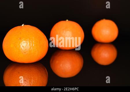Quelques mandarines mûres, juteuses, orange, entières, sur fond noir. Banque D'Images