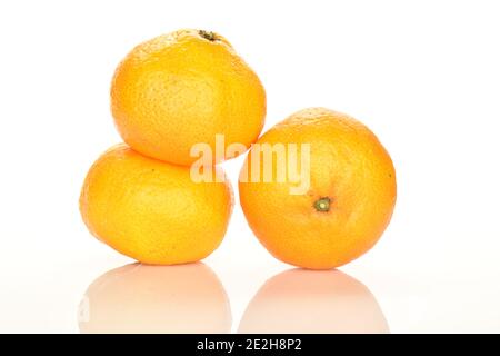 Trois mandarines entières, mûres d'orange juteuse, sur la gauche - la première se trouve sur la deuxième, la troisième est située à proximité, sur un fond blanc. Banque D'Images