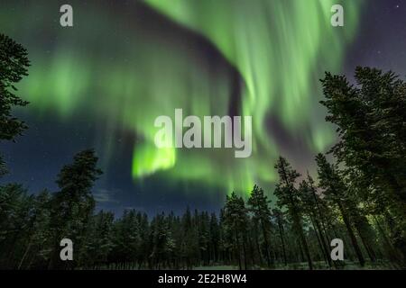 Northern Lights / Aurora borealis, phénomène météorologique montrant la lumière naturelle au-dessus de Jokkmokk en hiver, Comté de Norrbotten, Laponie, Suède Banque D'Images