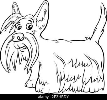 Dessin animé noir et blanc du chien de race Scottish Terrier page de livre de coloriage de personnages d'animaux Illustration de Vecteur