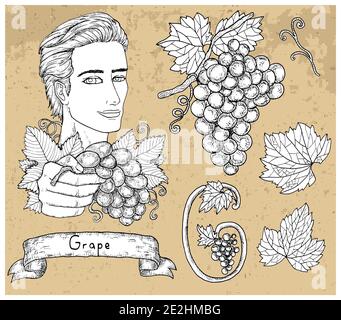 Ensemble de motifs avec beau homme tenant le raisin et les fruits sur fond texturé. Illustration vectorielle gravée à la main, collection botanique, sain Illustration de Vecteur