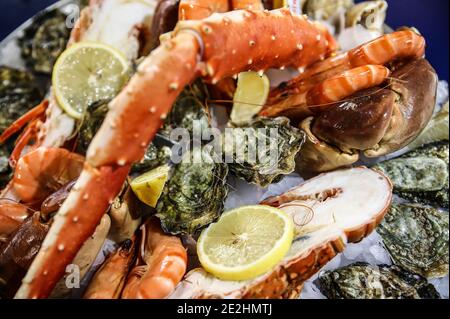 Assiette de fruits de mer : homard, crabe, huîtres Banque D'Images