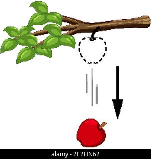 Chute de pomme pour l'illustration de l'expérience de gravité Illustration de Vecteur