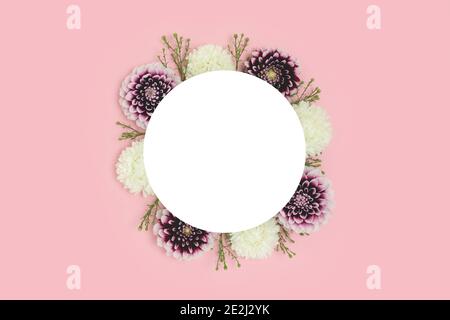 Couronne en fleurs de dahlia sur fond rose. Cadre de printemps avec espace de copie. Banque D'Images